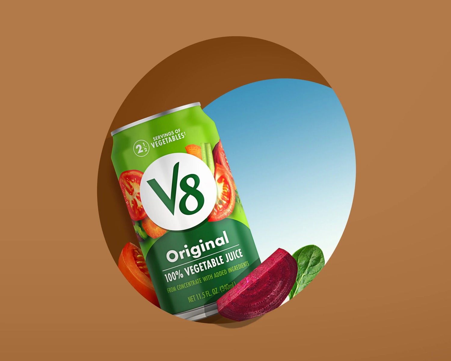 V8 — project image 10