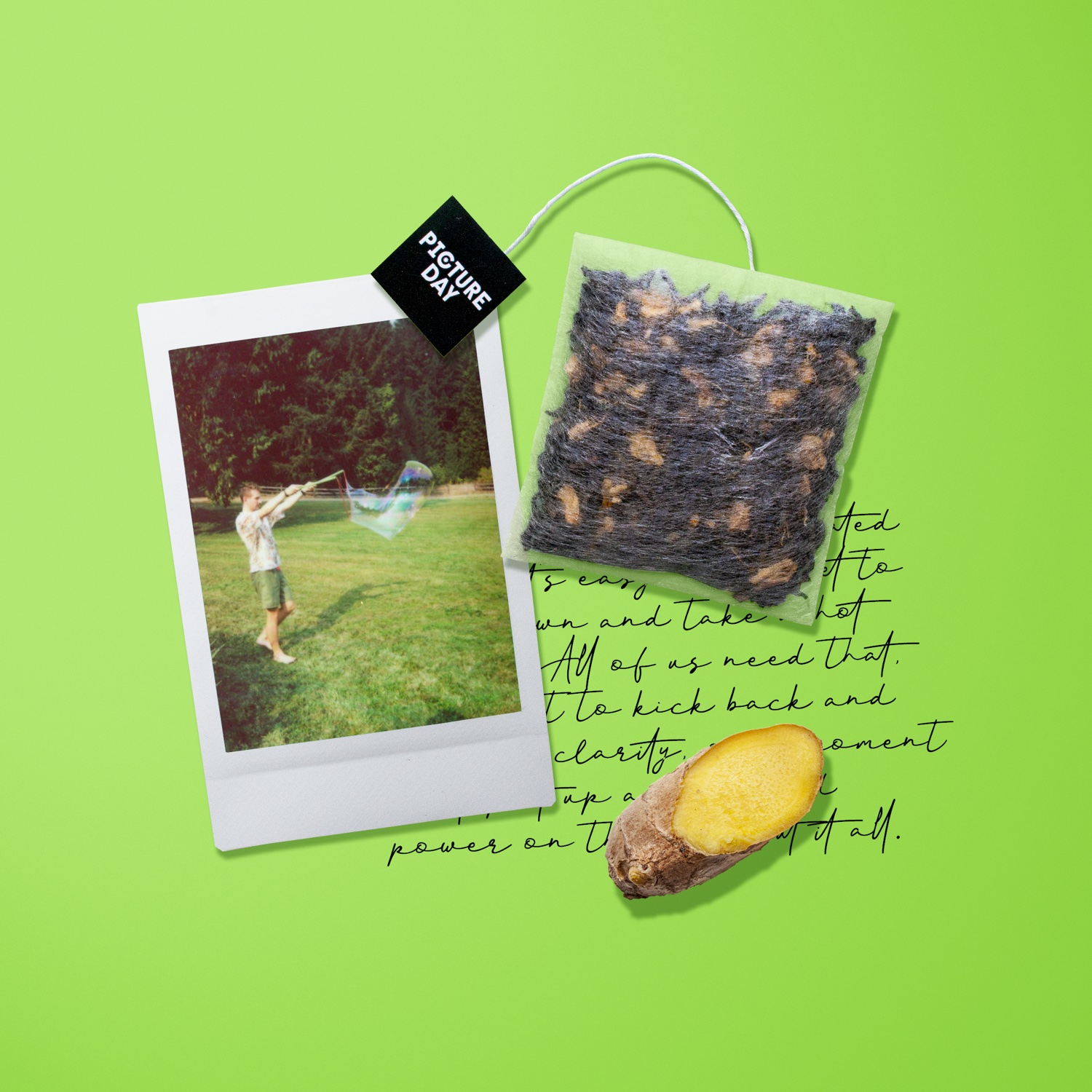 Picture Day — project image 16