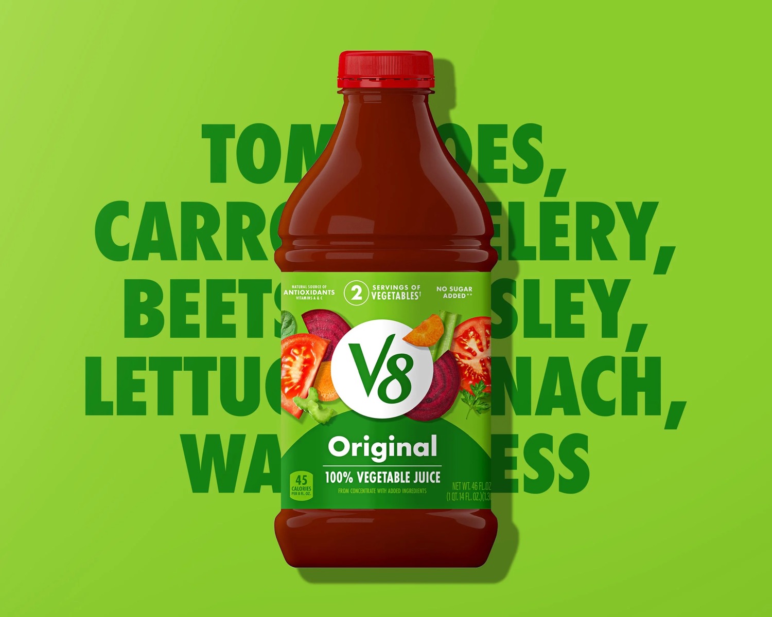 V8 — project image 3