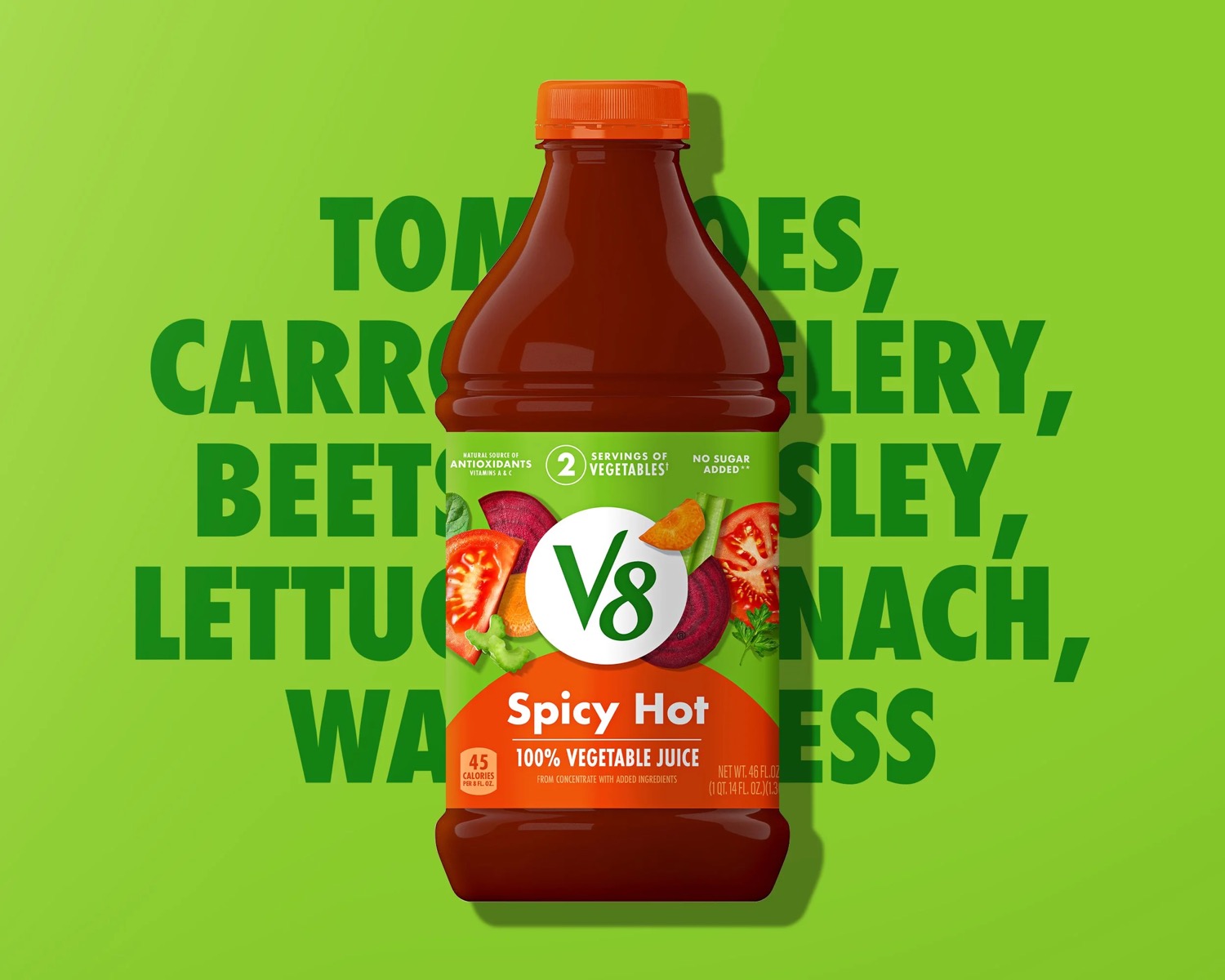 V8 — project image 4