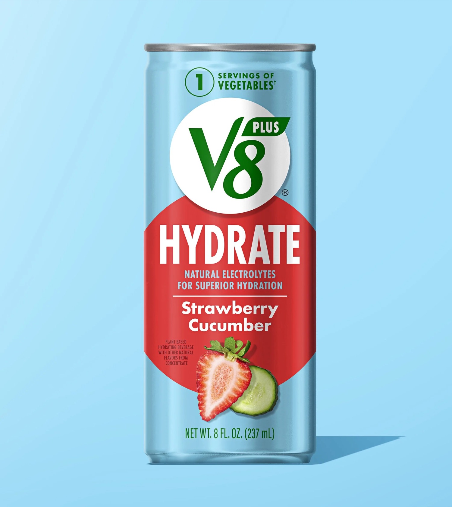 V8 — project image 20