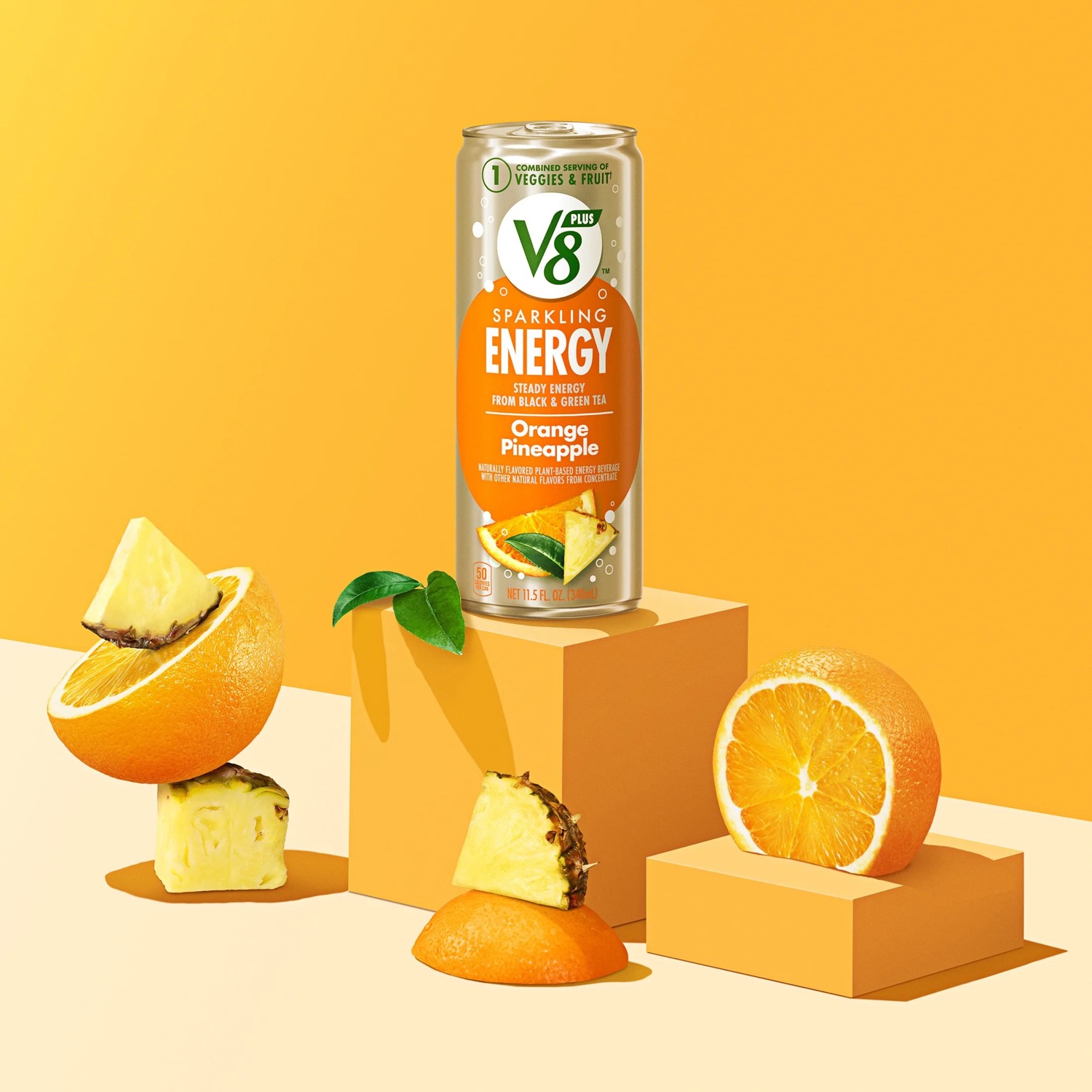 V8 — project image 19