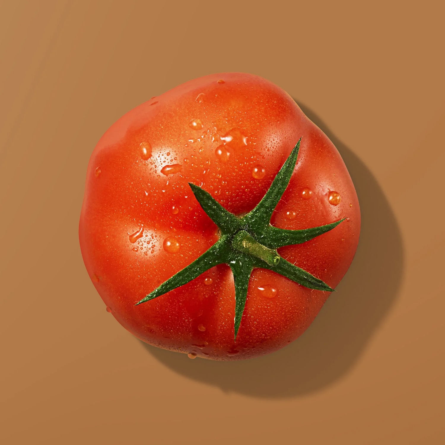 V8 — project image 7