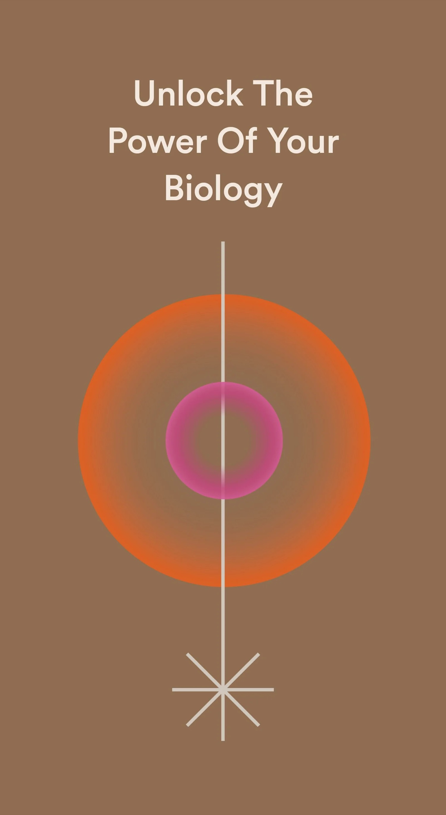 Mimio — project image 7