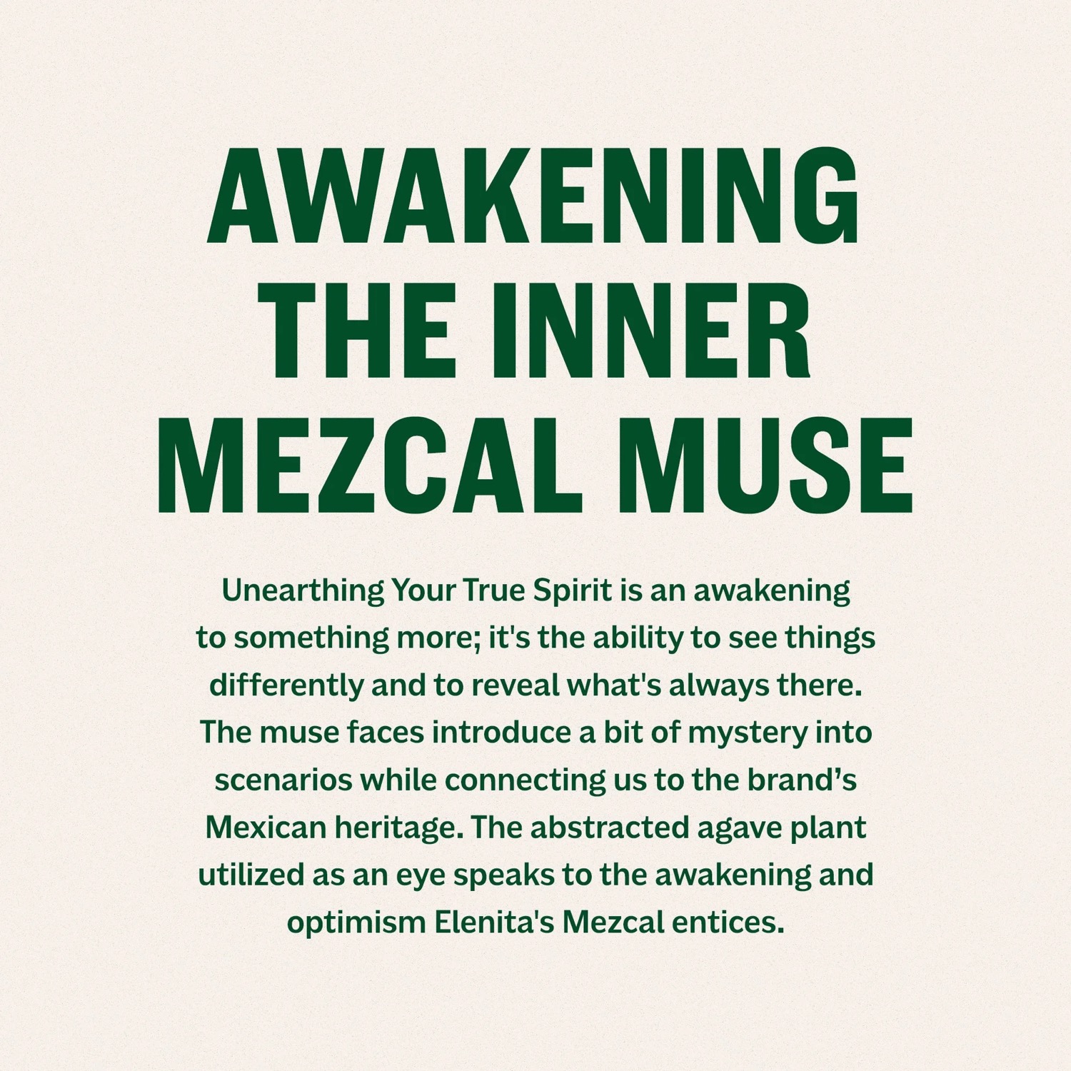 Elenita Mezcal — project image 2