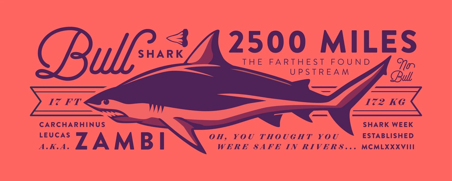 Licensing Artwork — project image 13