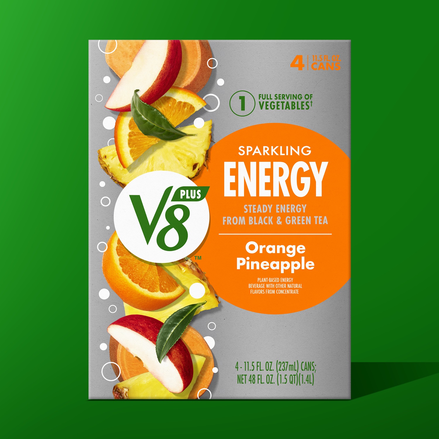 V8 — project image 18